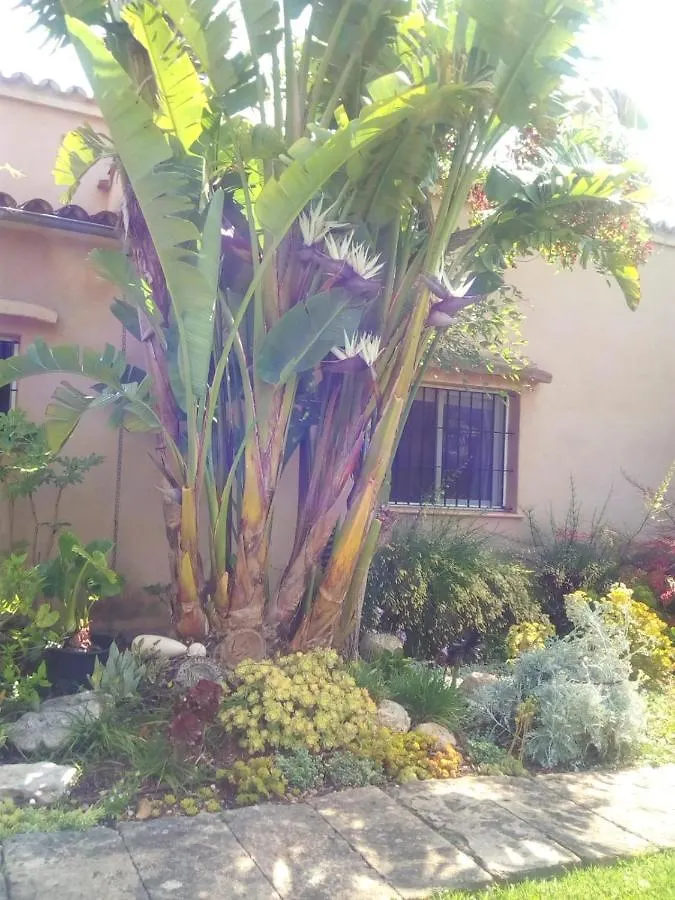 Arthouse Campos Mit Haus Galeria 110Qm Und Appartementhaus Mit Patio 30Qm Campos (Mallorca)