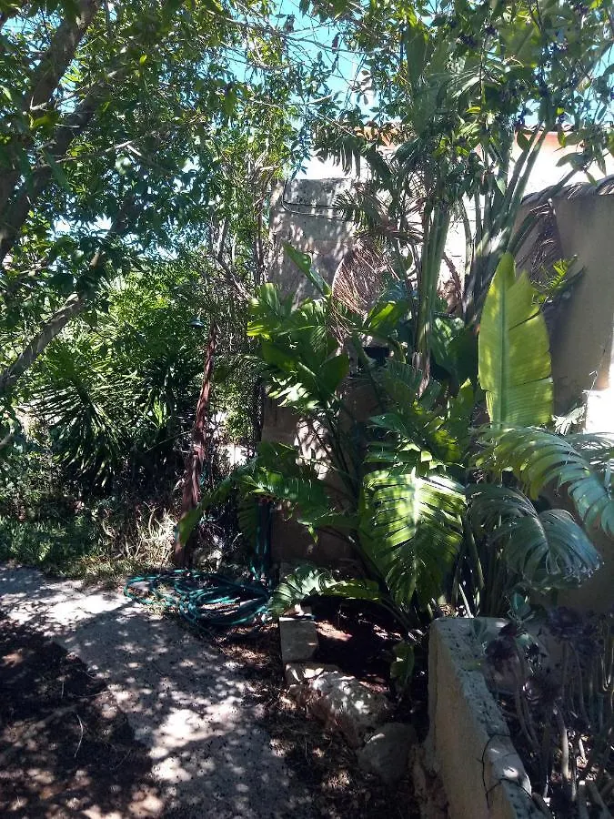 Holiday home Arthouse Campos Mit Haus Galeria 110Qm Und Appartementhaus Mit Patio 30Qm