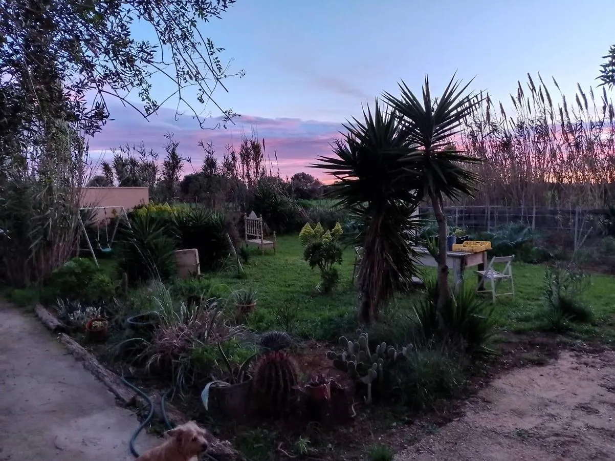Holiday home Arthouse Campos Mit Haus Galeria 110Qm Und Appartementhaus Mit Patio 30Qm Spain
