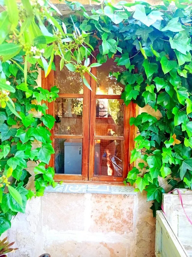 Arthouse Campos Mit Haus Galeria 110Qm Und Appartementhaus Mit Patio 30Qm スペイン